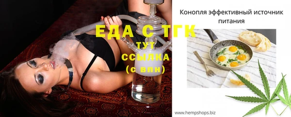 крисы Абаза