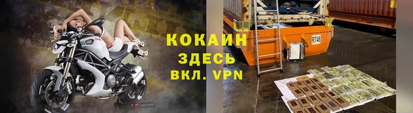 крисы Абаза