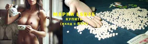 крисы Абаза