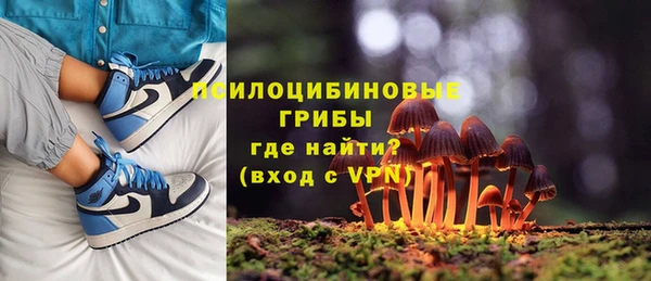 винт Алексин