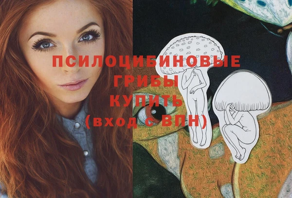 прущие крисы Абинск