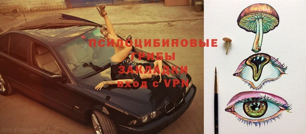 индика Абдулино